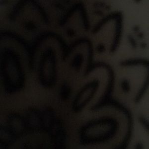 Meet your Posher, Brandee